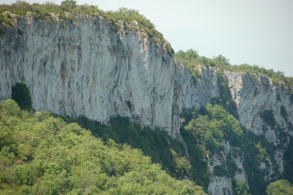 Auberge Lion D'Or Saint-Antonin Oda fotoğraf